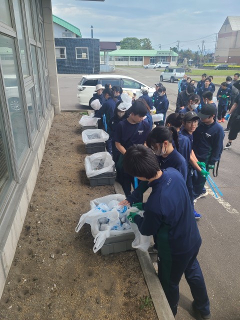 ていねいな分別作業